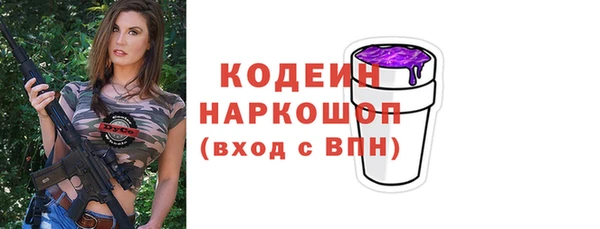 прущие крисы Заводоуковск