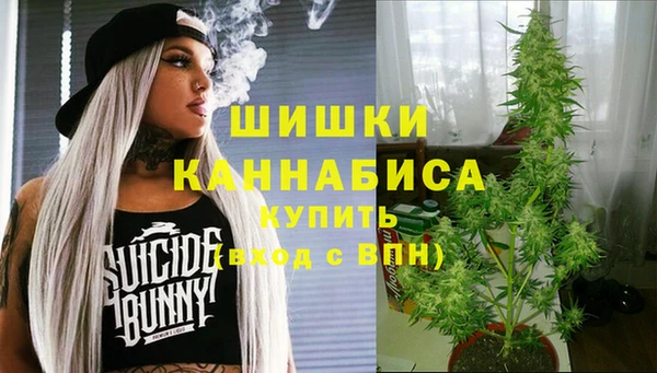 бутират Инта