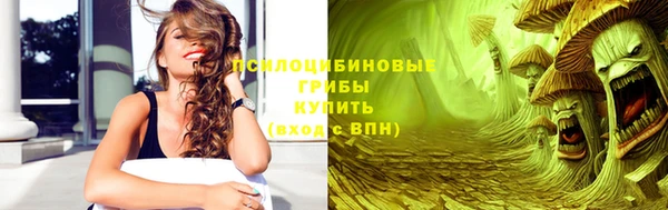 ALPHA-PVP Инсар