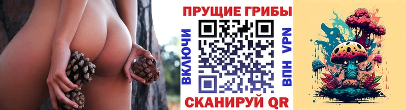 Купить закладки  Красавино  Галлюциногенные грибы Psilocybe 